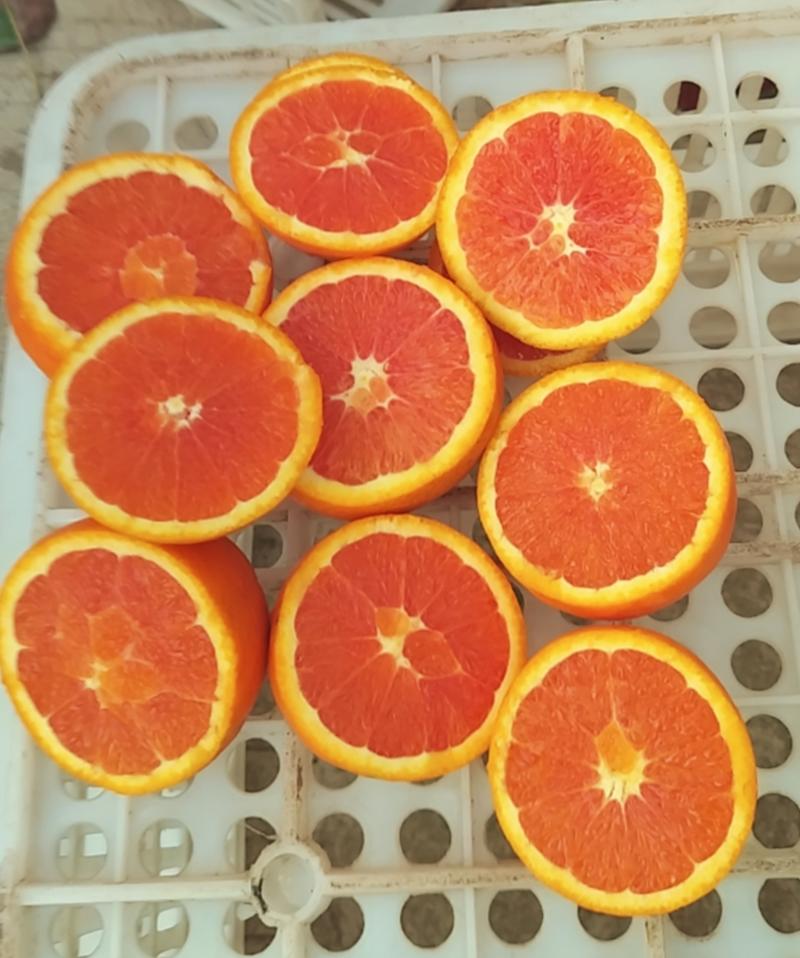 血橙中华红血橙红橙脆甜多汁电商平台市场批发商超诚信