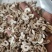 泽润中药牡丹皮无硫抽芯%90多批发零售各种中药材