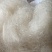 雪燕