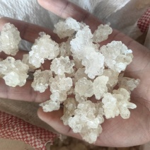 雪燕