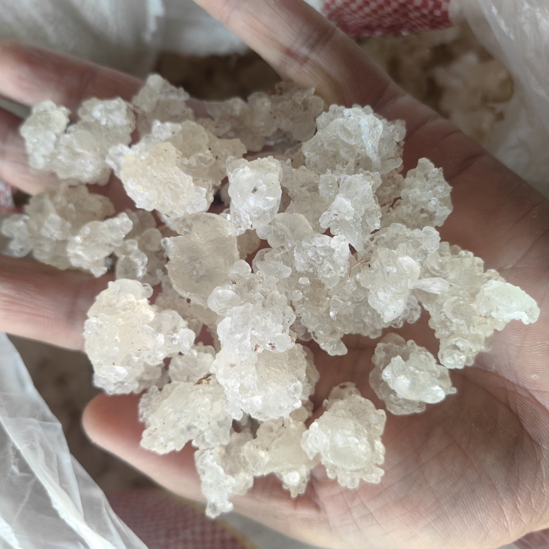 雪燕