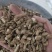 泽润中药川断续断批发零售各种中药材