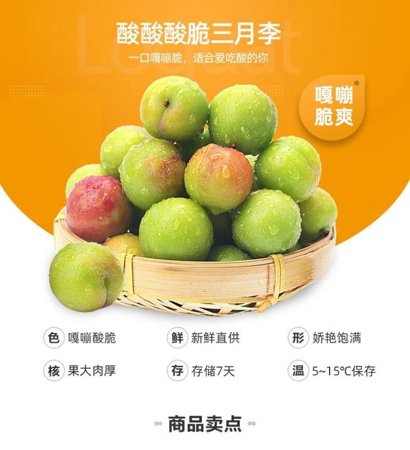 广东省，信宜市，钱排镇，三月李，早李，！！！！！