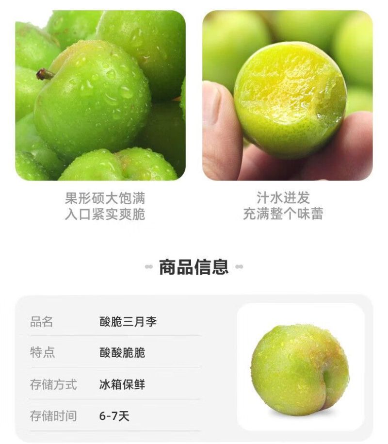 广东省，信宜市，钱排镇，三月李，早李，！！！！！