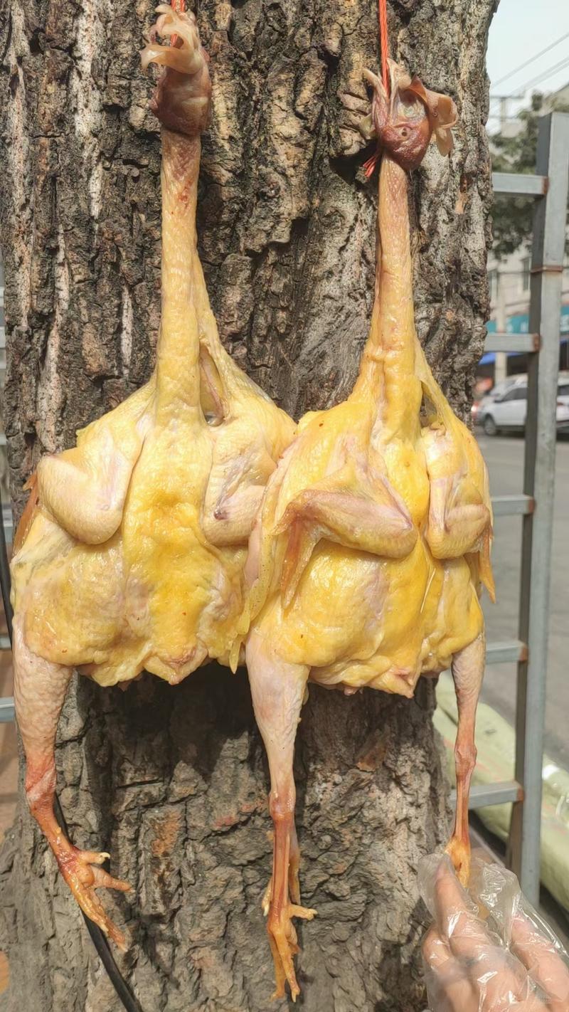 风干鸡厂家农家四川特产干货腊鸡腊肉咸鸡土鸡整只老母鸡