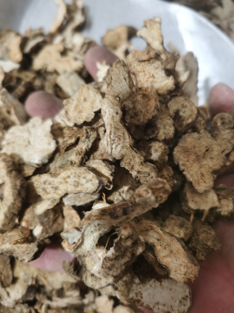 泽润中药苍术家种苍术批发零售各种中药材