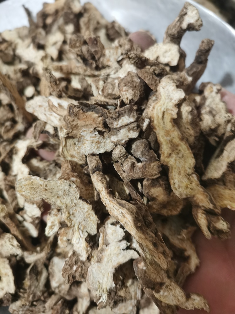 泽润中药苍术家种苍术批发零售各种中药材