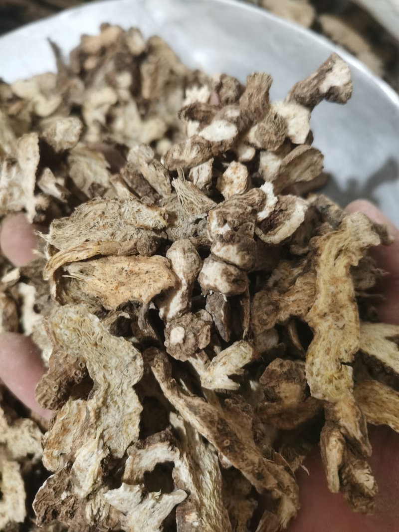 泽润中药苍术家种苍术批发零售各种中药材