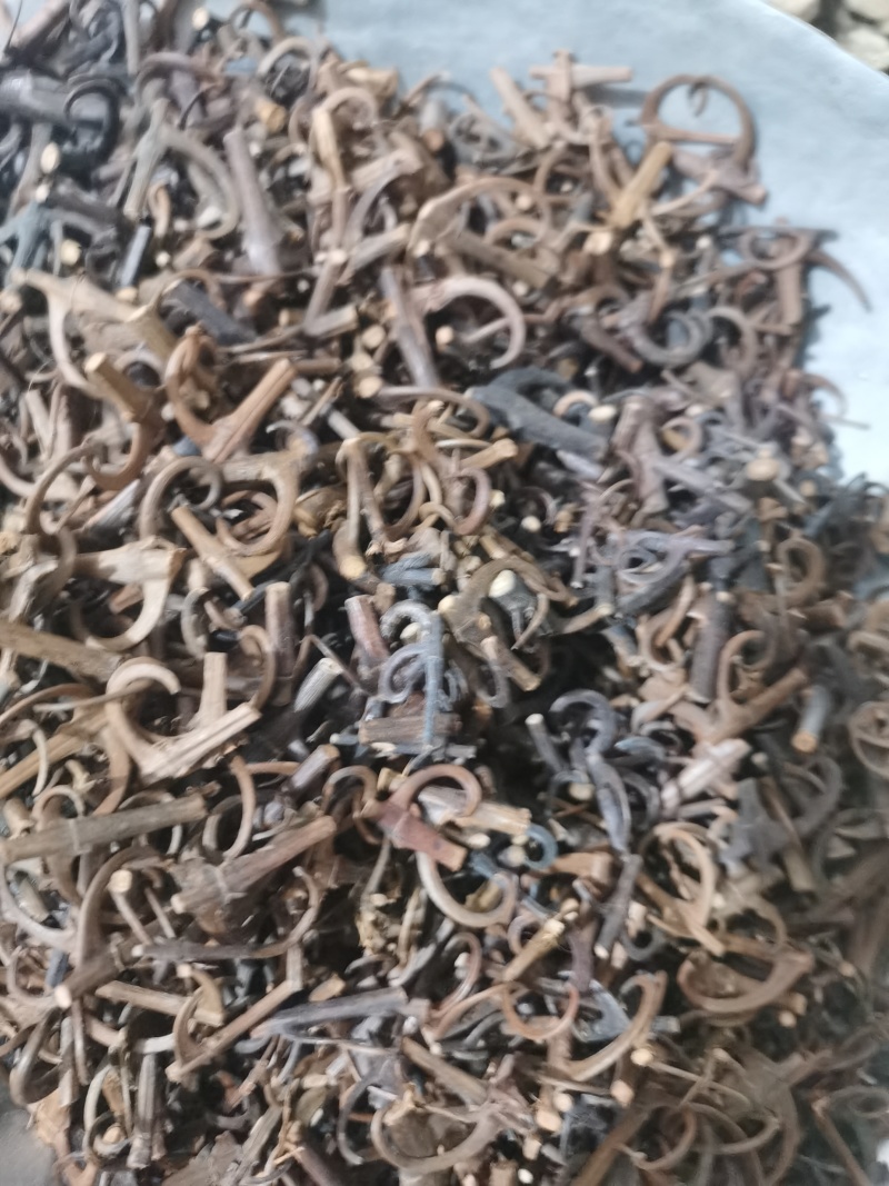 泽润中药钩藤双钩含钩%99批发零售各种中药材