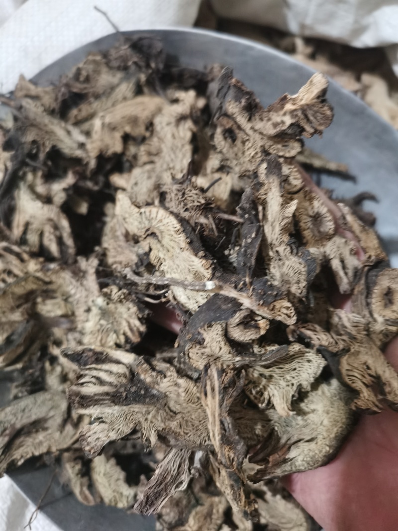 泽润中药升麻东北野生升麻批发零售各种中药材
