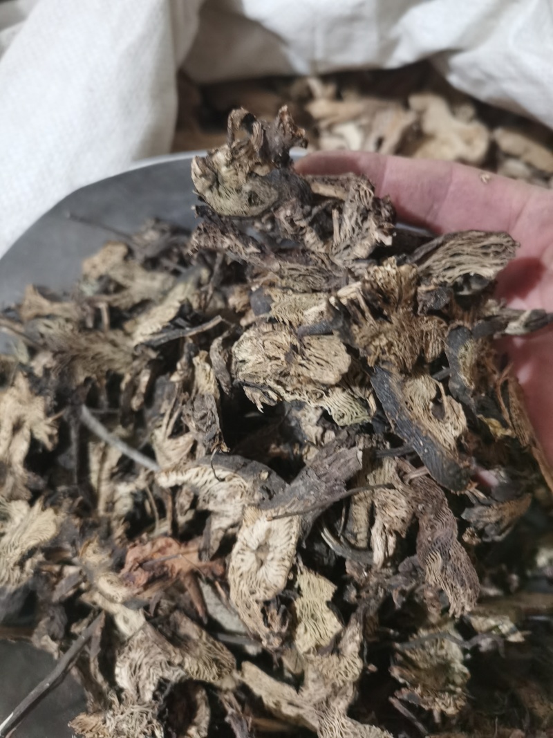 泽润中药升麻东北野生升麻批发零售各种中药材
