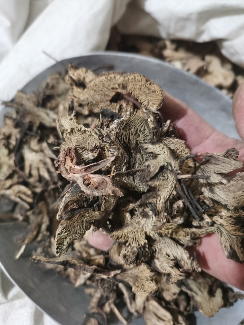 泽润中药升麻东北野生升麻批发零售各种中药材