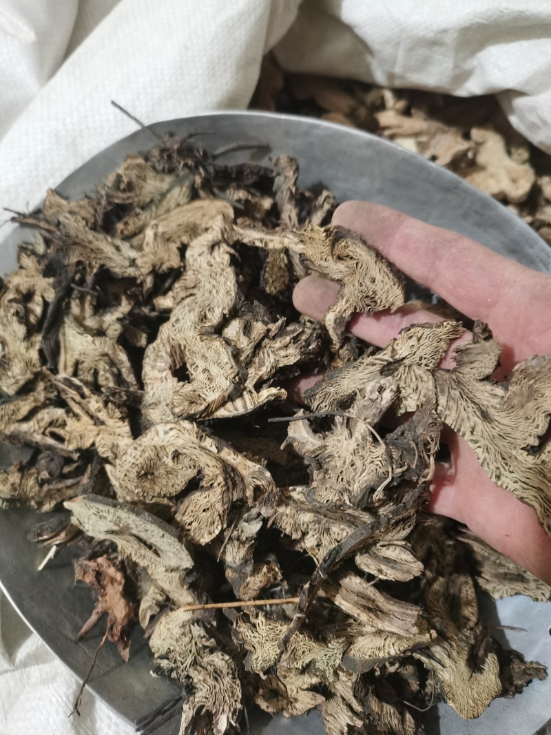 泽润中药升麻东北野生升麻批发零售各种中药材