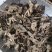 泽润中药升麻东北野生升麻批发零售各种中药材