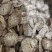 槟榔片大白片泽润中药批发零售各种中药材