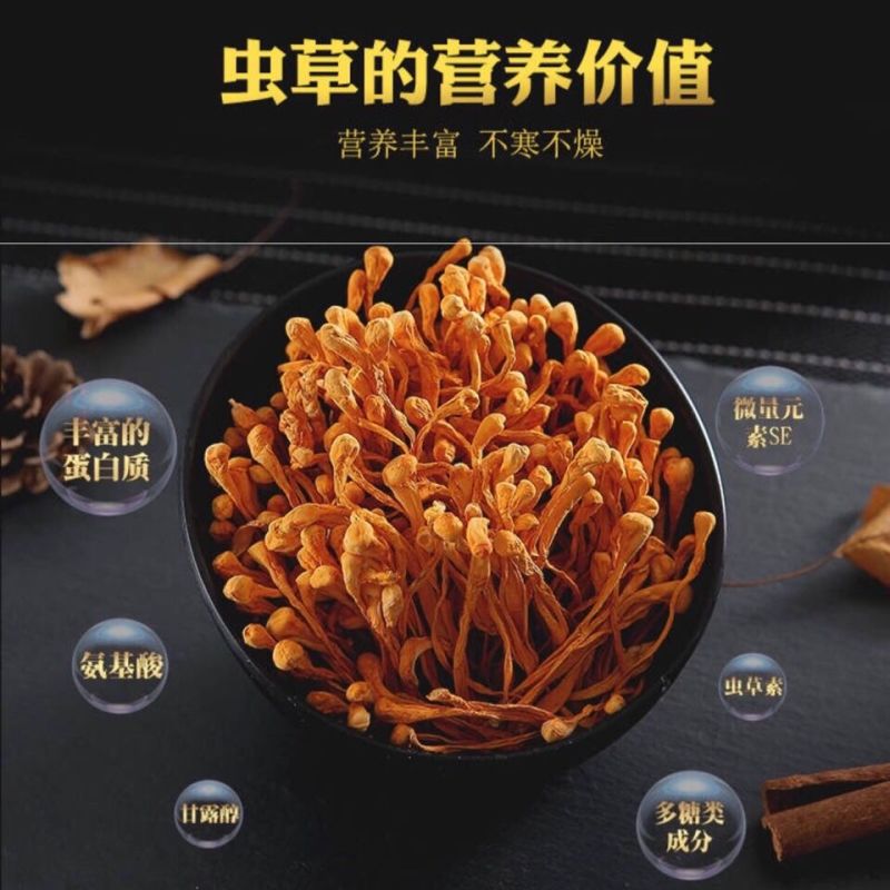 虫草花干货新鲜金蛹北虫草菇孢子头农户批发煲汤食材