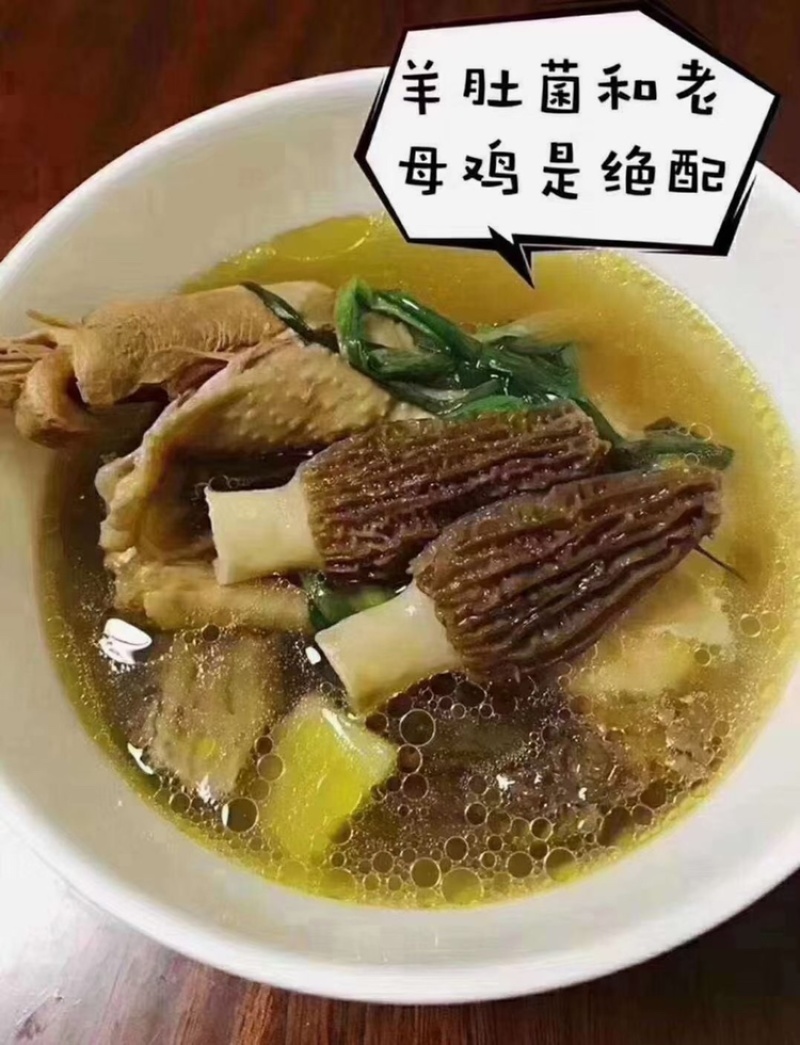 鲜羊肚菌
