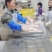 一家专业做鹅的工厂，散养草鹅，好吃，干货，品质保证诚信