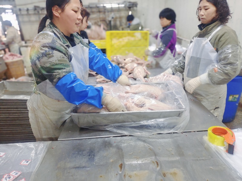 一家专业做鹅的工厂，散养草鹅，好吃，干货，品质保证诚信