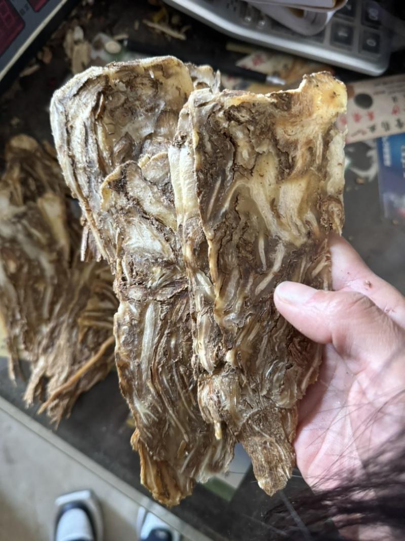 当归佛手当归片岷县当归无硫当归压片中心片