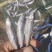 精品白肖鱼干，小白肖，丰餐条