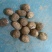 山东8520芋头有货销售，电商，团购批发**，代发全国