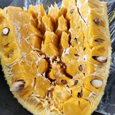 海南菠萝蜜大崩脆