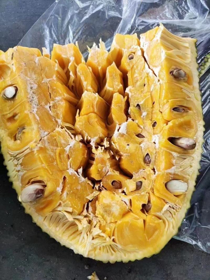 海南菠萝蜜大崩脆