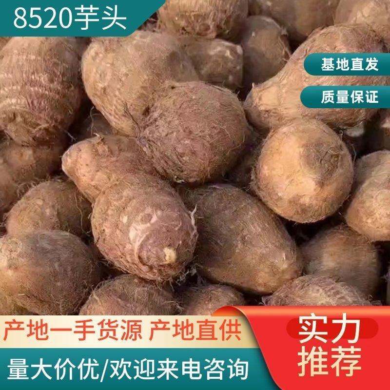 山东8520芋头有货销售，电商，团购批发**，代发全国