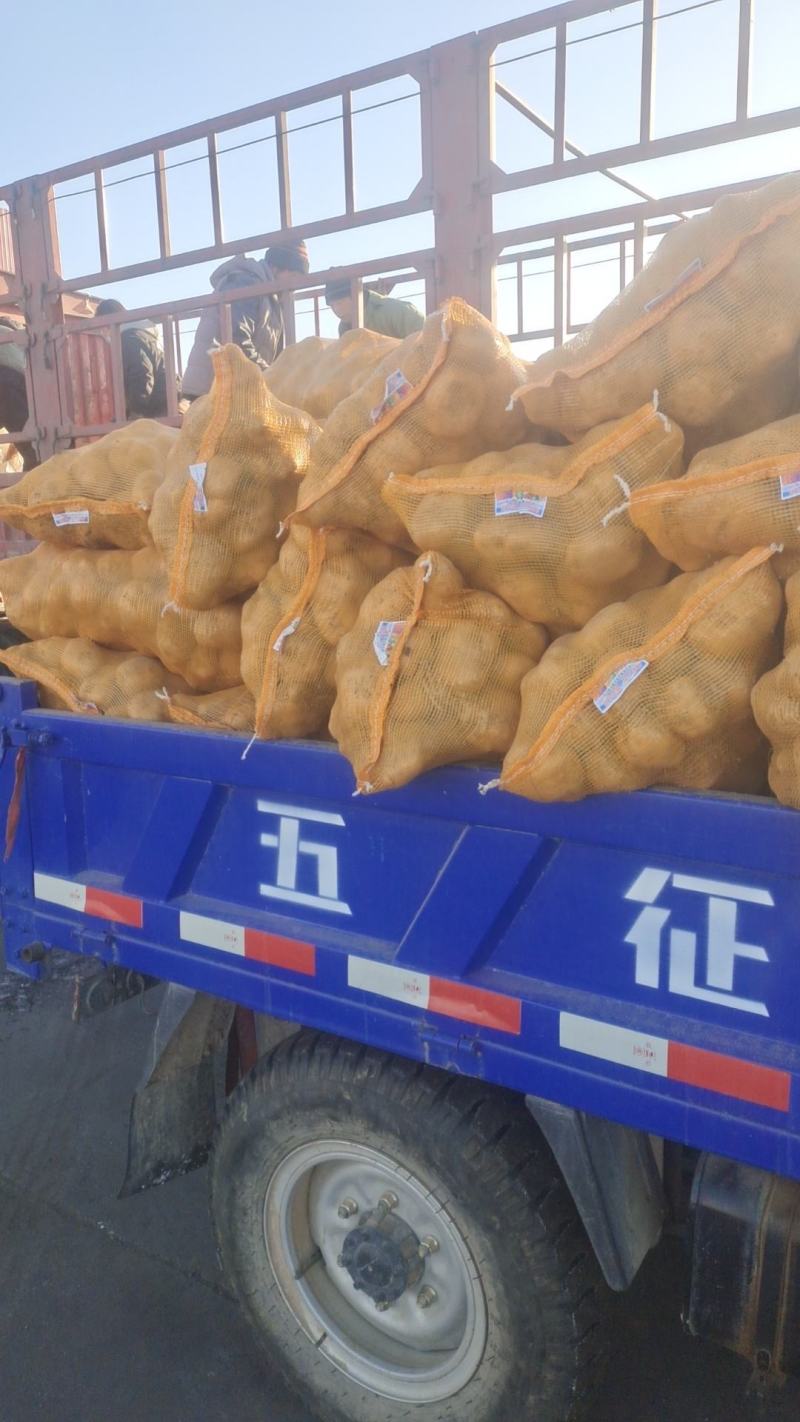 淀粉土豆