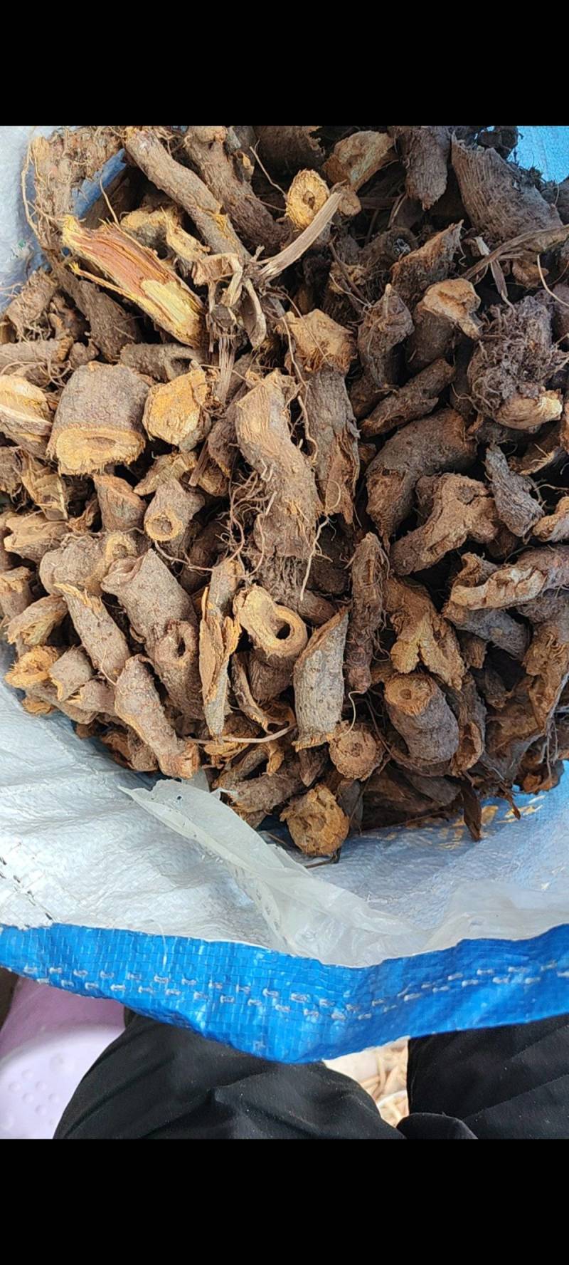 中药材虎杖野生无硫颜色好产地药材大货供应