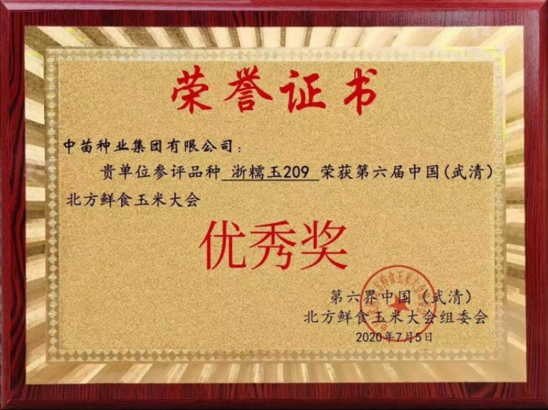 浙糯玉209黑甜糯玉米种子高产大田鲜食苞米种子甜味糯