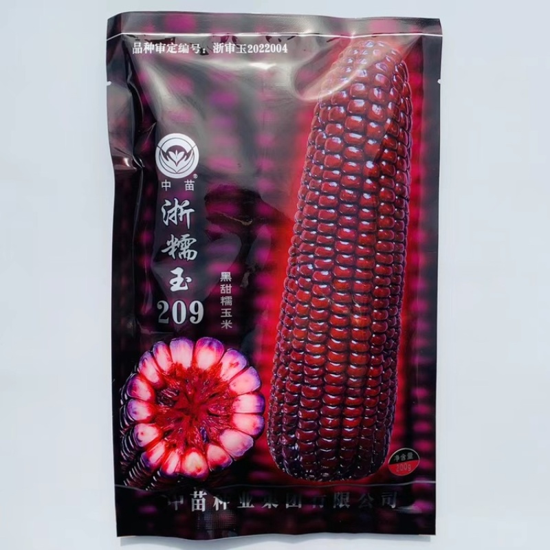 浙糯玉209黑甜糯玉米种子高产大田鲜食苞米种子甜味糯