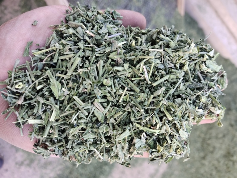 珍珠透骨草颜色青刀工好过筛过沫子一手货源，包检。