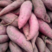 精品红薯西瓜红红薯大量供应中产地直发对接商超市场等