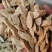 黄芪精品指甲片黄芪泽润中药批发零售各种中药材