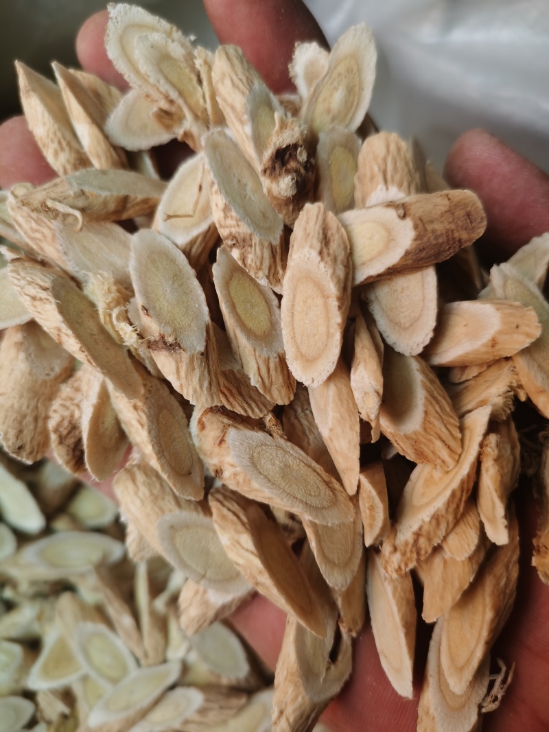 黄芪精品指甲片黄芪泽润中药批发零售各种中药材