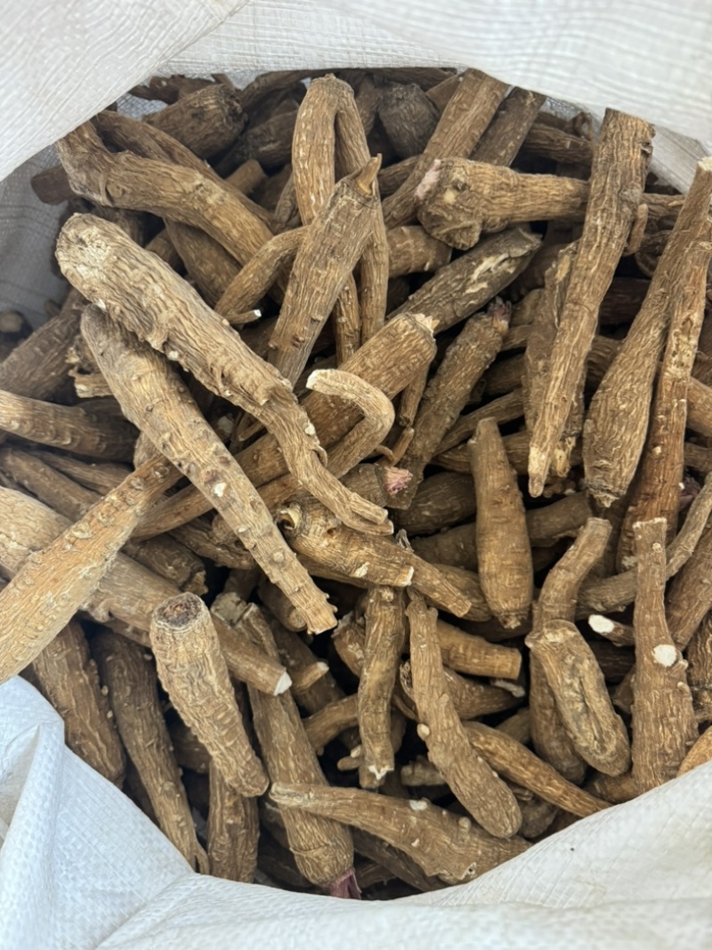新货白芷干货另有白芷片白芷个子大料白芷川白芷