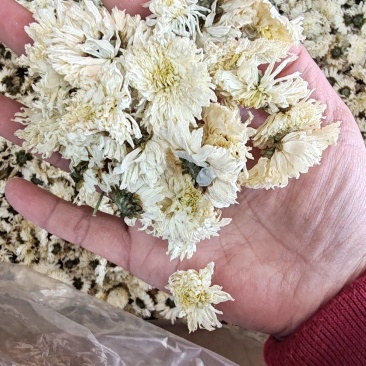 .七月菊500克白菊花散装泡水菊花茶干花草茶花果茶批发