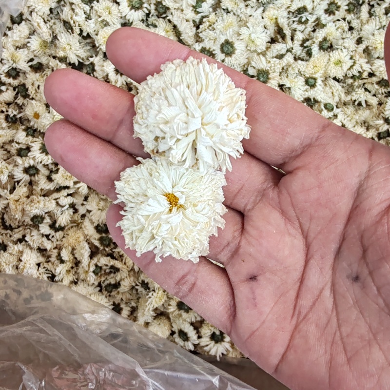 .七月菊500克白菊花散装泡水菊花茶干花草茶花果茶批发