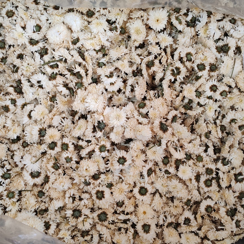 .七月菊500克白菊花散装泡水菊花茶干花草茶花果茶批发