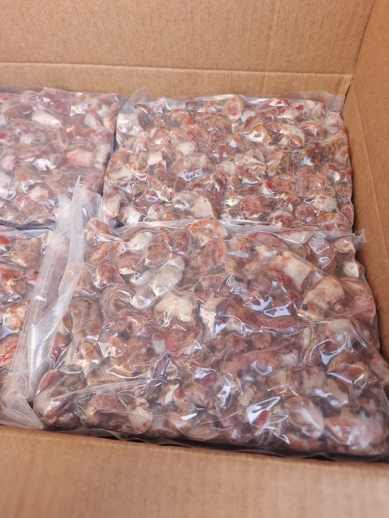 红海腚沙蒜海葵精洗4切产地直发价格美丽一手货源