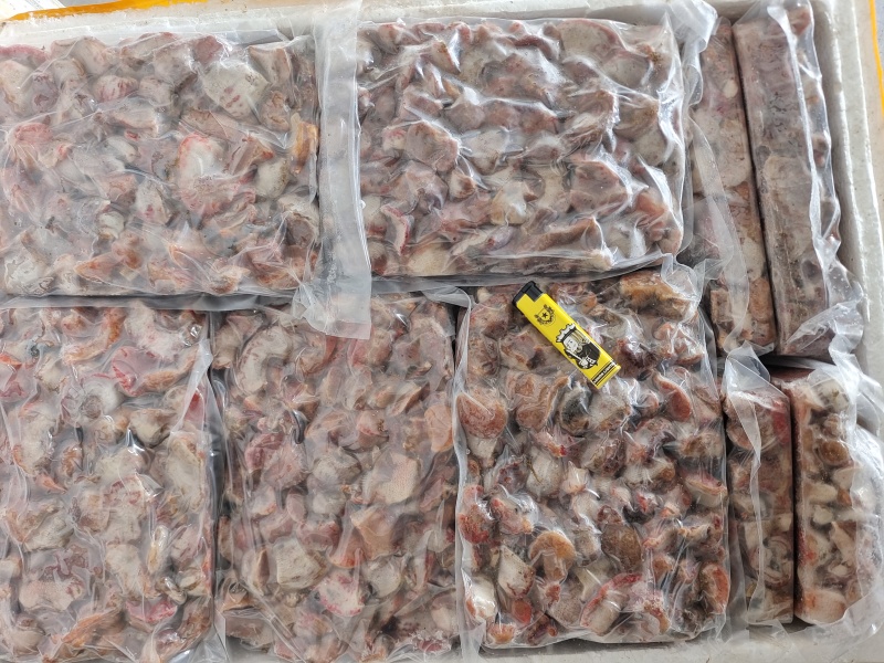红海腚沙蒜海葵精洗4切产地直发价格美丽一手货源