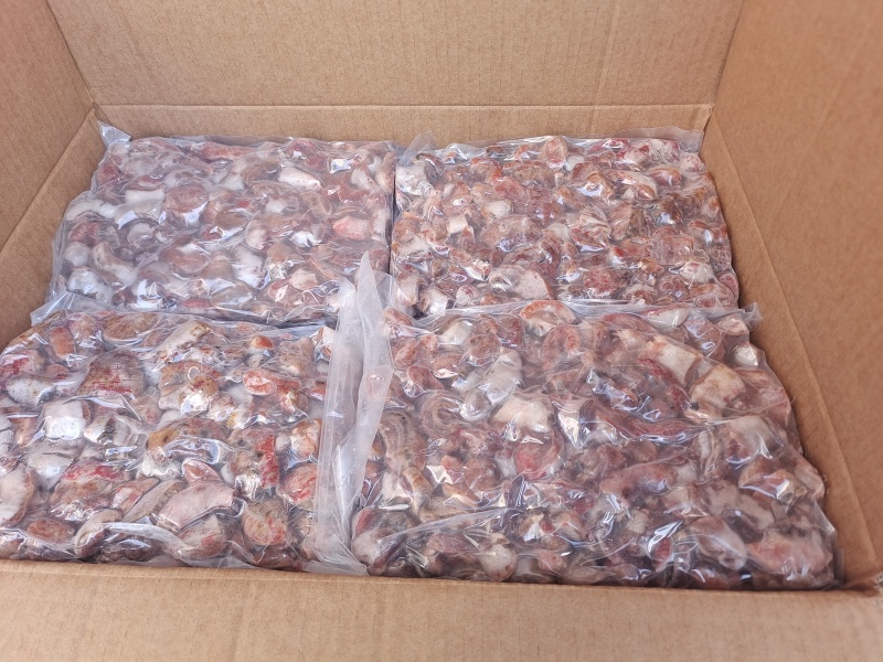 红海腚沙蒜海葵精洗4切产地直发价格美丽一手货源