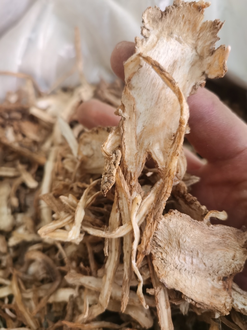当归统货2个筛泽润中药批发零售各种中药材