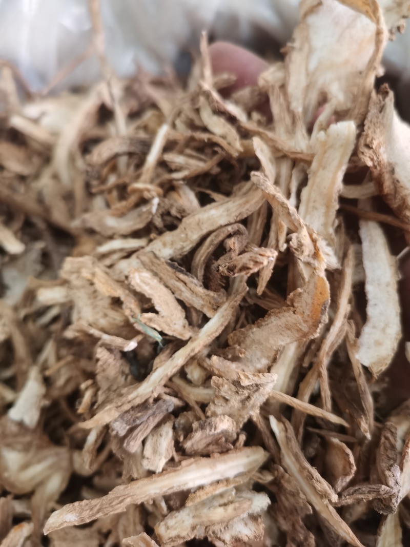 当归统货2个筛泽润中药批发零售各种中药材