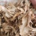 当归统货2个筛泽润中药批发零售各种中药材