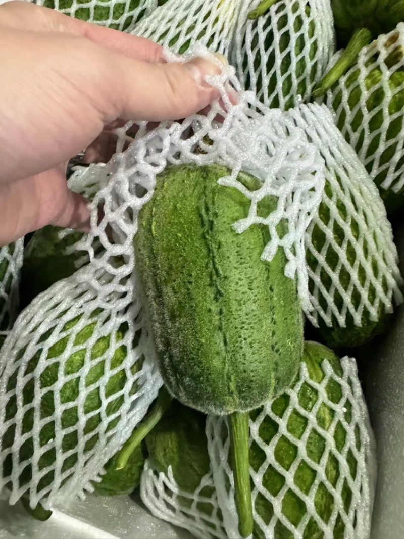 苹果丝瓜