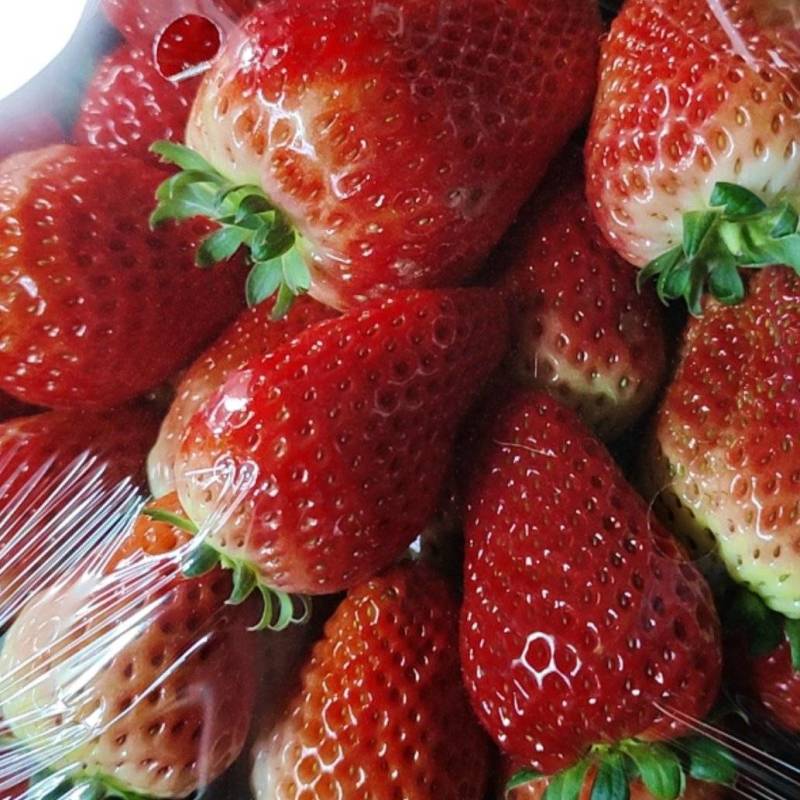 奶油草莓
