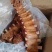 【卤味】寸排五香寸排全熟五香寸排KTV农家乐